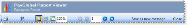 PayGlobalReportViewer-Toolbar